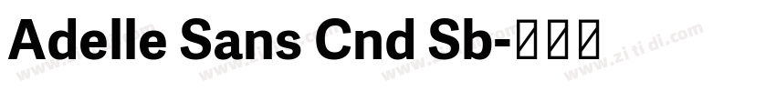 Adelle Sans Cnd Sb字体转换